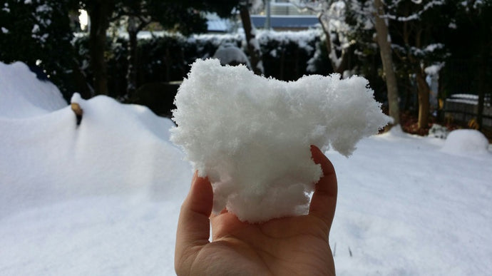 室長に任命されました。