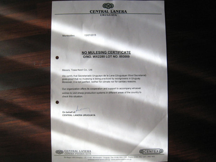 次の秋冬からウールを使用します。